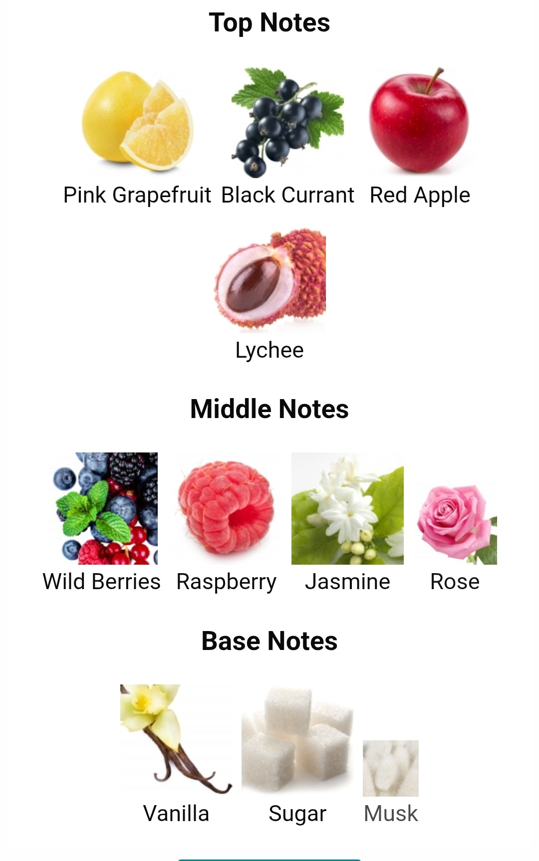 FRAGRANCE WORLD ELYSIA APPLE ROUGE EDP