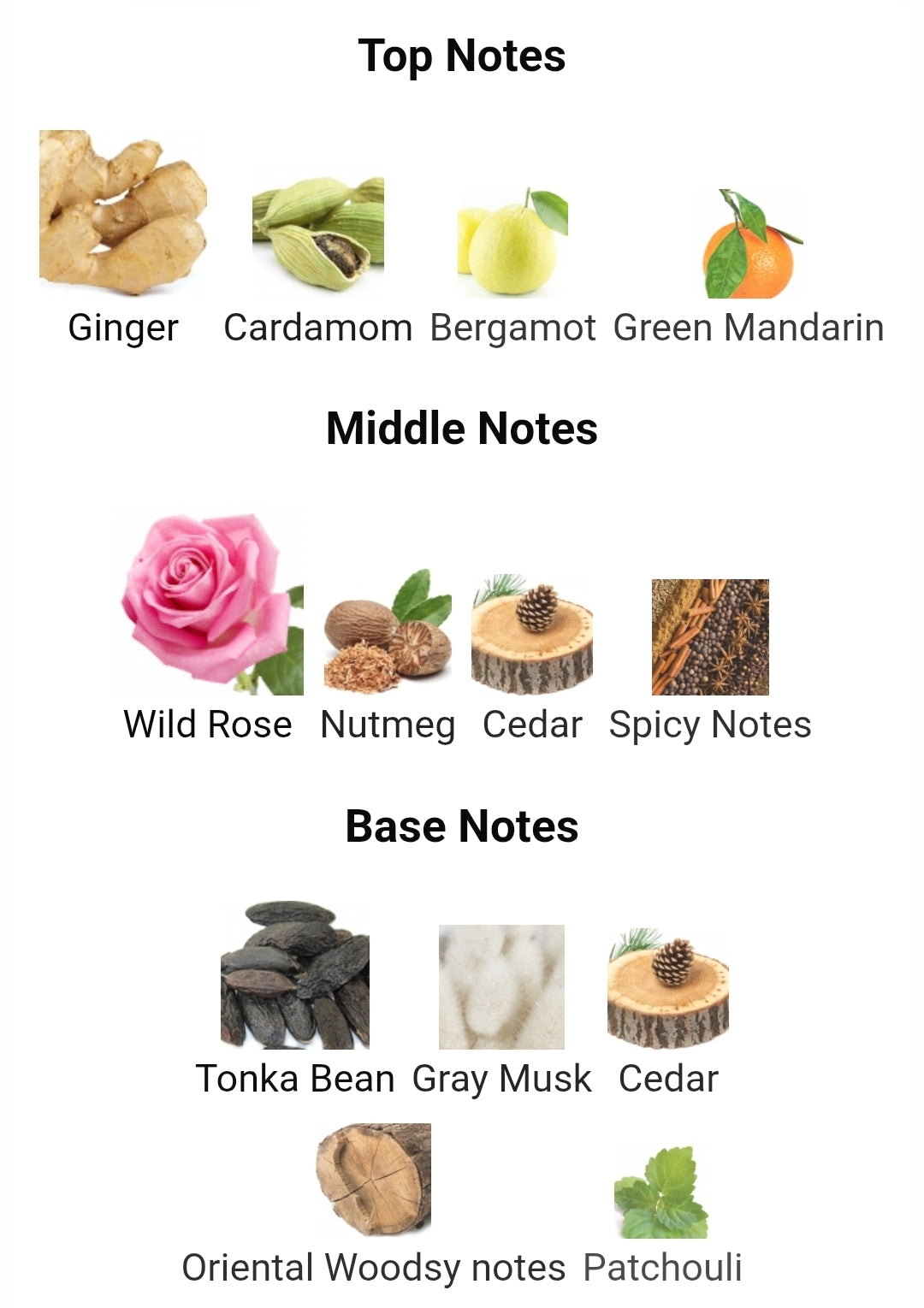 Burberry - Brit for Him