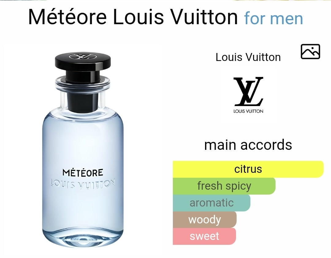 LOUIS VUITTON MÉTÉORE – dupedynasty