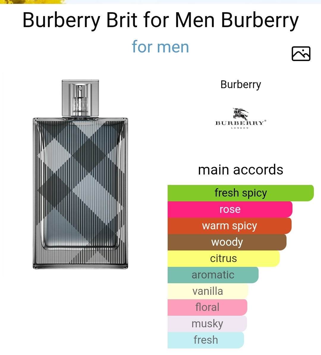 Burberry - Brit for Him